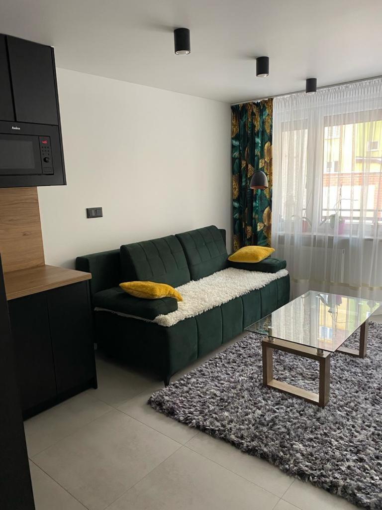 Zeromskiego2 Apartment *